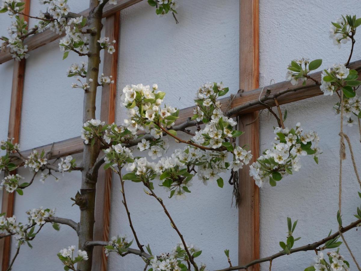 Ecologie Aparthotel Grundlsee